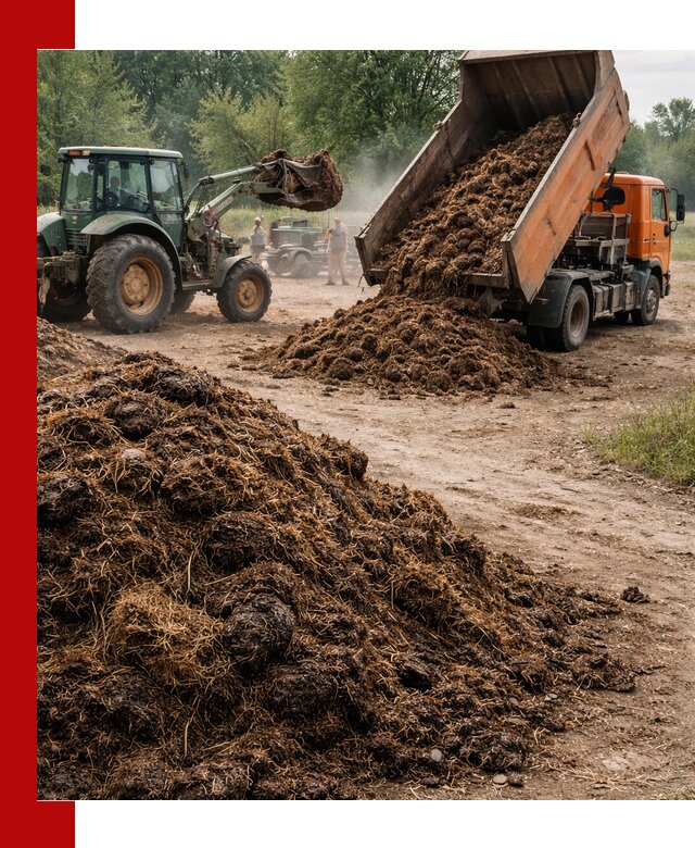 Доставка навоза самосвалами в Бугуруслане для сельхозпотребностей